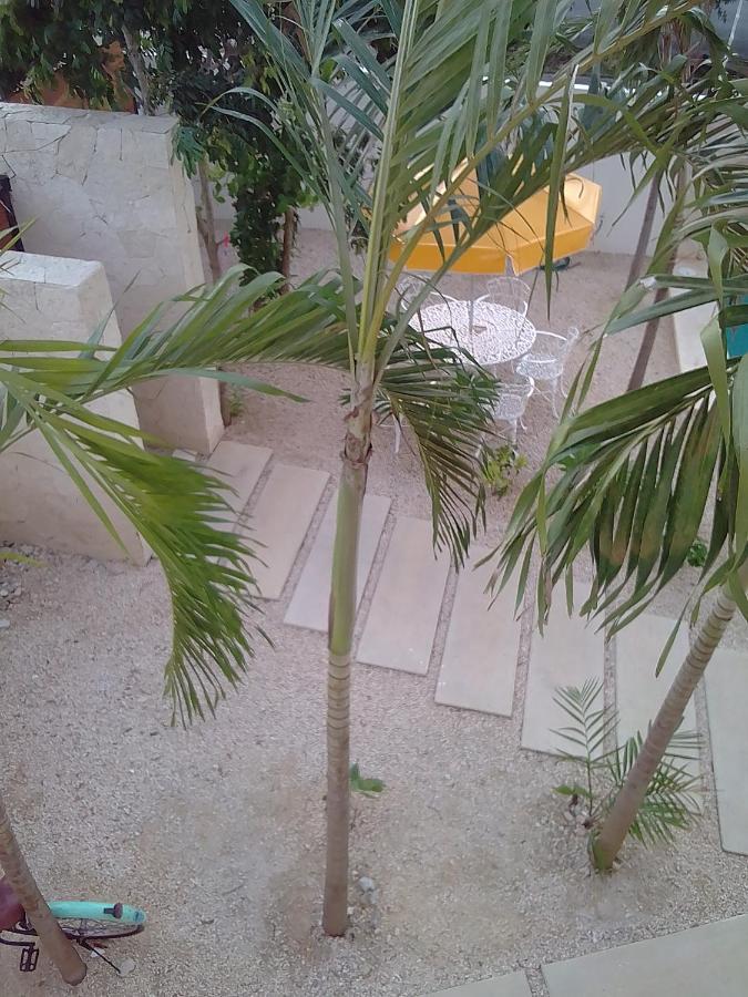 Posada Tumben Ka'A Τουλούμ Εξωτερικό φωτογραφία